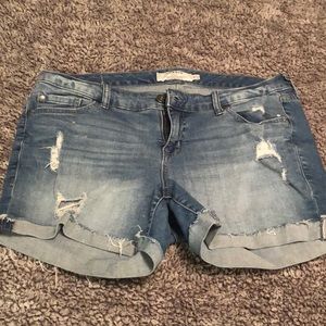 Torrid Denim Shorts distressed